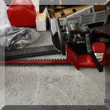 T13. EGO chainsaw. 